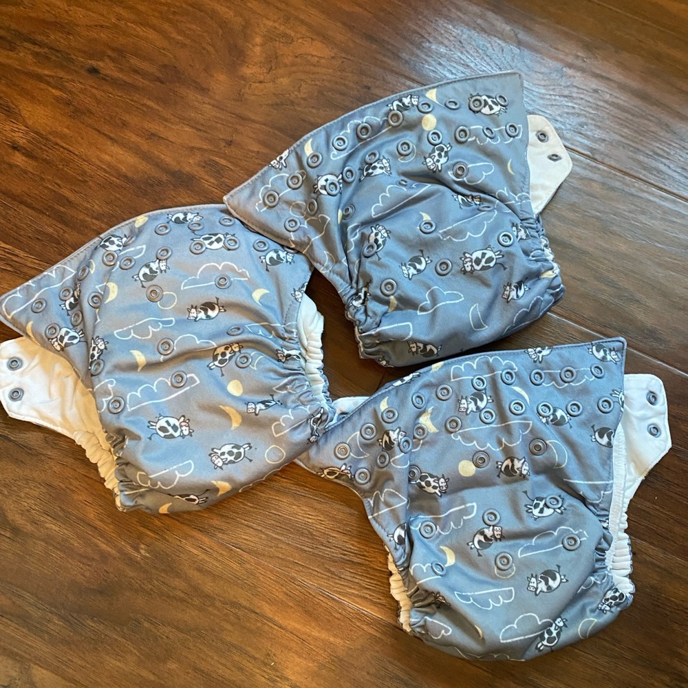 Thirsties all in one diapers
